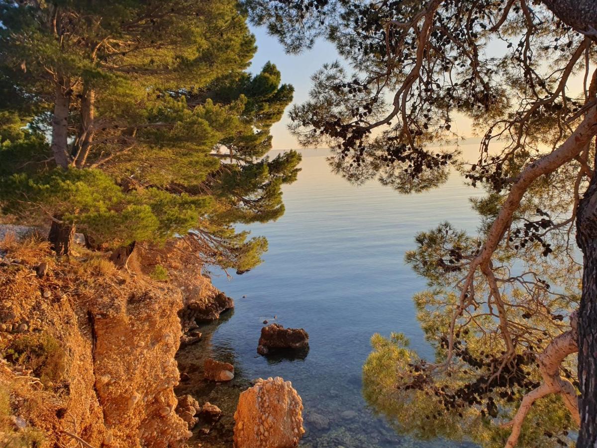 Apartment Miskovic Makarska Extérieur photo